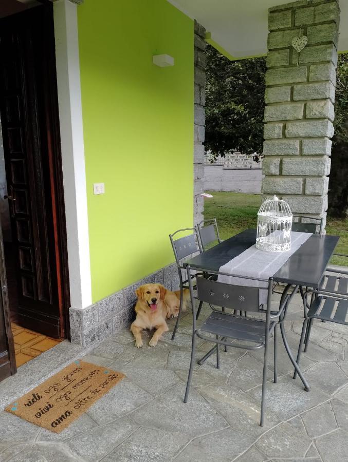 Bed and Breakfast Il Faggio Beura Exterior foto